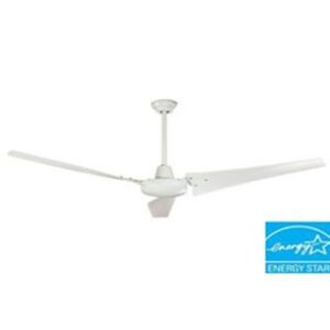 4 Blade Paddle Fan