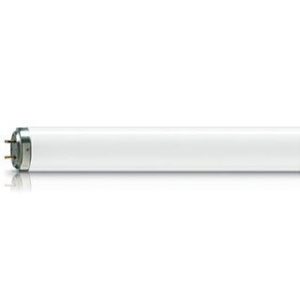 ACTINIC TL-D 36W Lamp