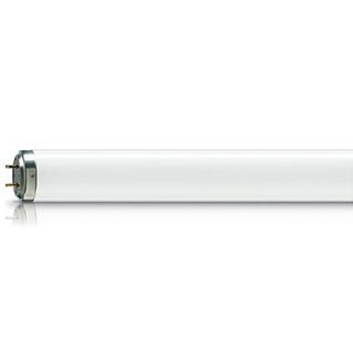 ACTINIC TL-D 36W Lamp