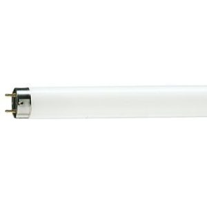 Actinic TLD Lamp T12 Bi Pin (36W)
