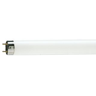Actinic TLD Lamp T12 Bi Pin (36W)